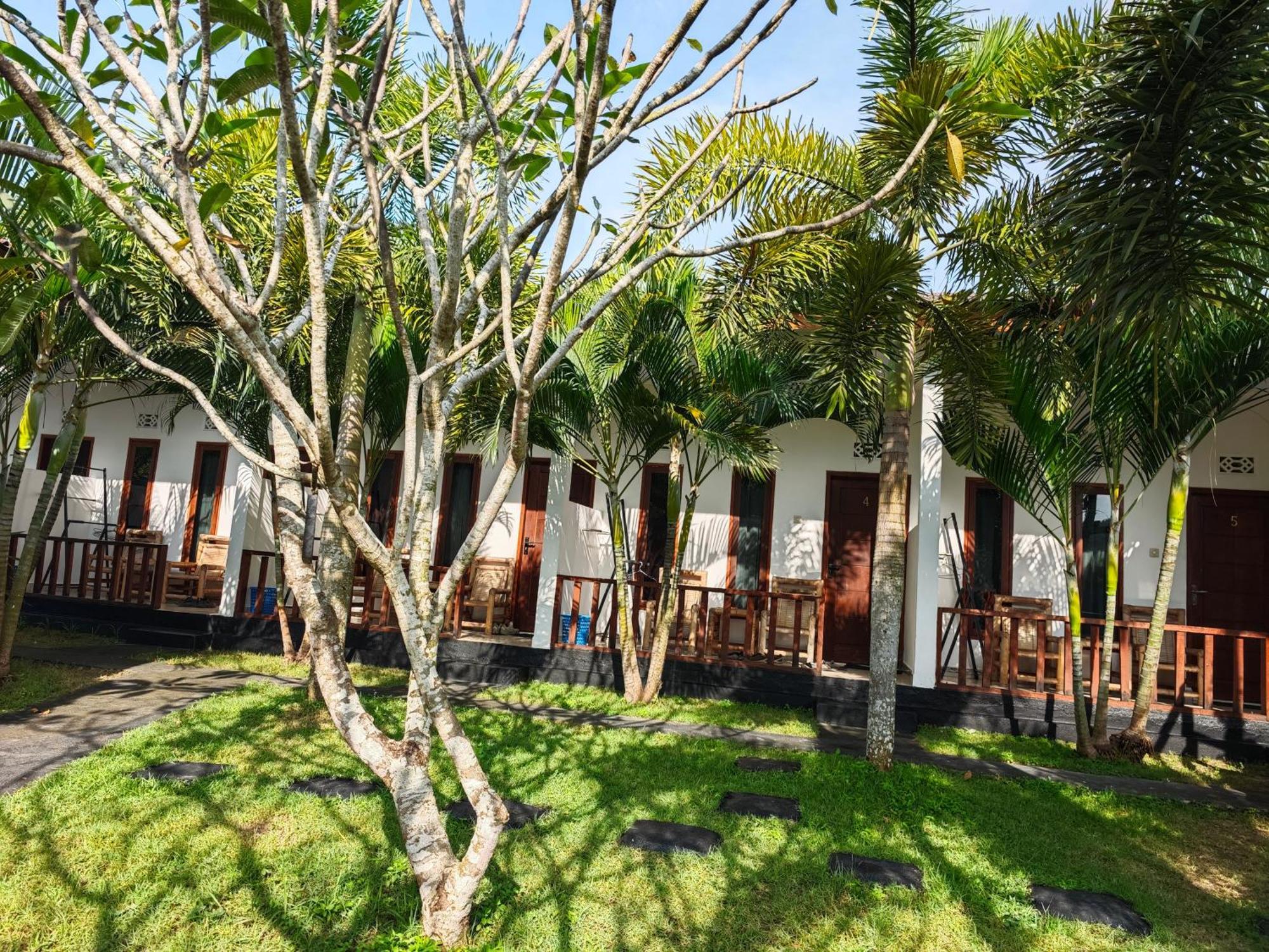 Surf Camp 79 Hotel Kuta  Eksteriør billede